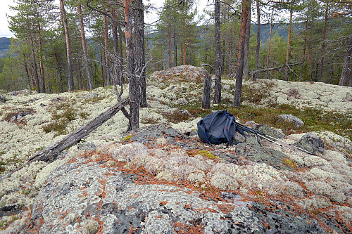 Toppen av Rudsåsen Nordøst (760).