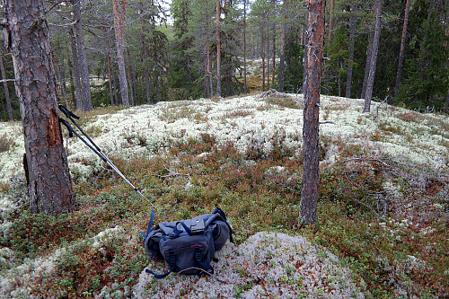 På Rudsåsen Øst (747).