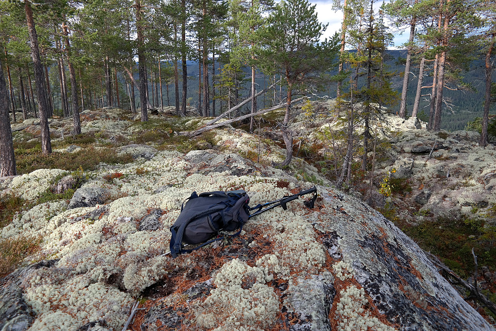 Rudsåsen Sørøst (763) var en fin topp. Åpen furuskog, og god utsikt i flere retninger.