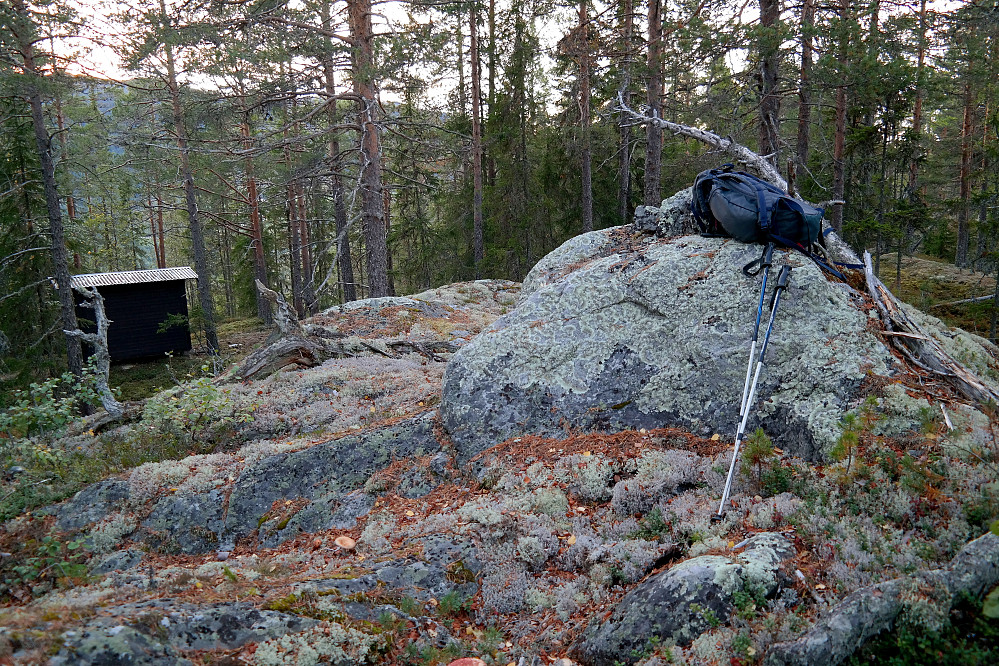 Høyeste punkt på Deighovd (517) er steinen til høyre.