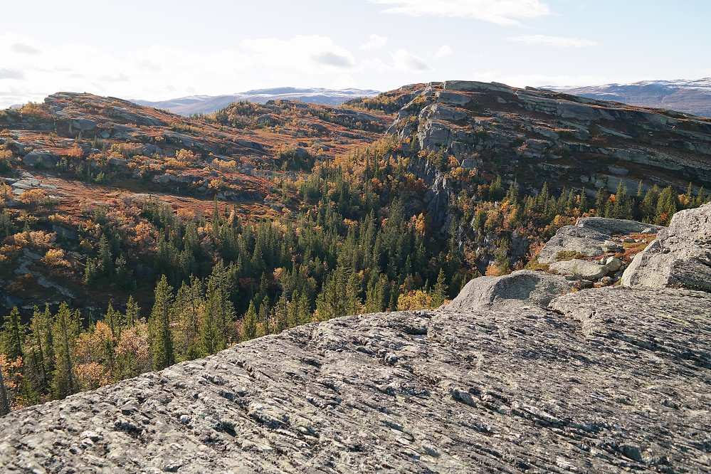 På Skagsåsen Ø2 (935). Helt til venstre i bakgrunnen er Skagsåsen SØ2 (951), mens Skagsåsen Øst (954) er til høyre.