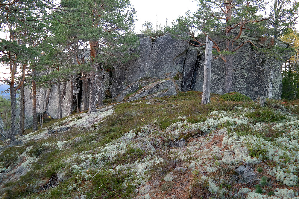 Et hinder jeg møtte på vei mot høyeste punkt på åsen Vest for Gjesteplassen (691). Heldigvis var det grei omgåelse til høyre for veggen.