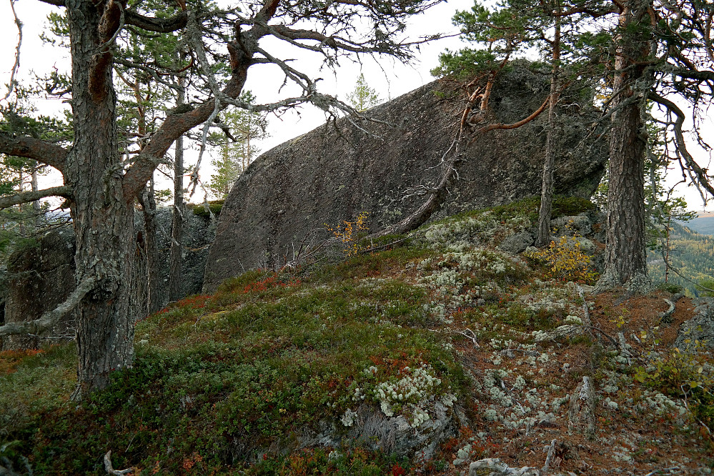 Toppen på Vest for Gjesteplassen (691) er denne steinen.