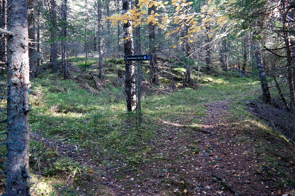 Skilting mot Sørgardhaugen (641) i et stikryss rett sør for toppen.