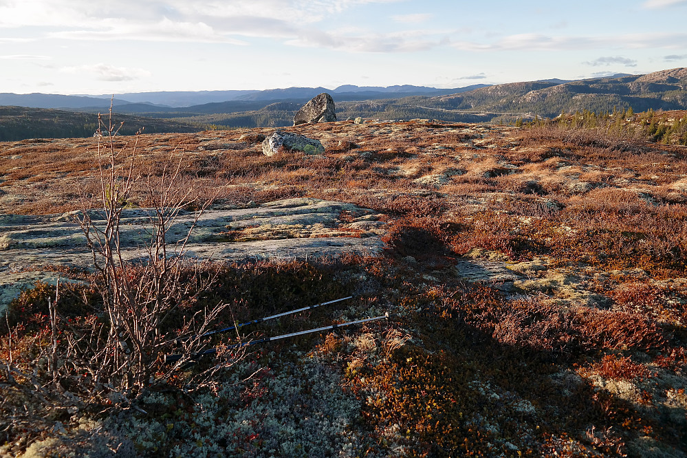 På Snipnatten Nord (985). Høyeste punkt på denne var kampesteinen litt lengre bak midt i bildet, men i følge kartet skulle toppen være omtrent her hvor bildet er tatt fra.