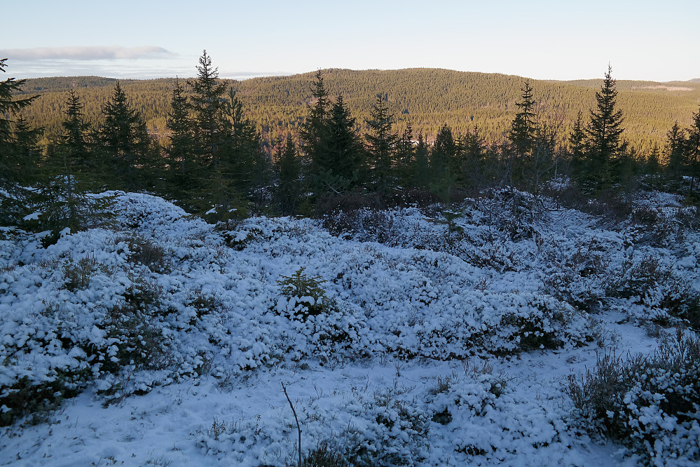 I skyggen på nordsiden av Rauberflaket (584), med utsikt mot Pikstein (627), som er åsen i bakgrunnen midt i bildet.