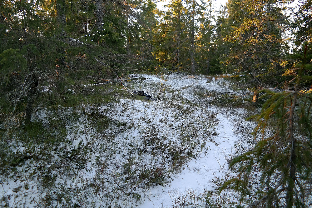 Høyeste punkt på Pikstein (627) befinner seg trolig et sted på denne høyden. Som man ser, går stien så og si over toppen.