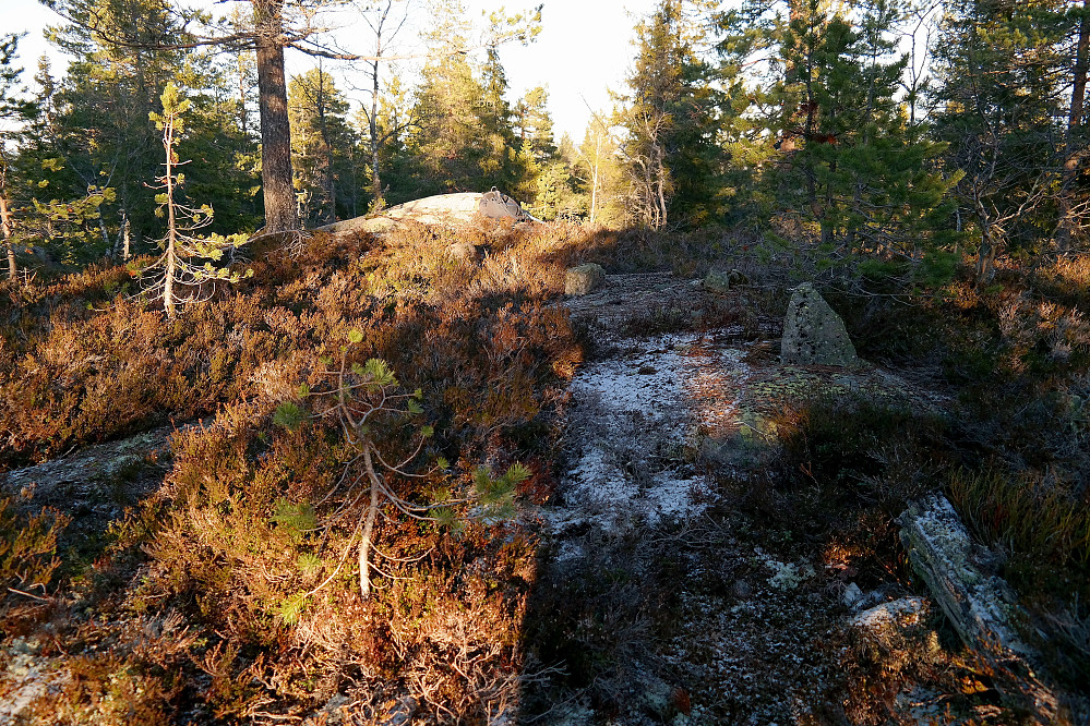 På Meskestadhøymyråsen (594). Et lite dryss av melis her og der i terrenget. For øvrig helt bart, men mye vann i bekker og søkk i terrenget.
