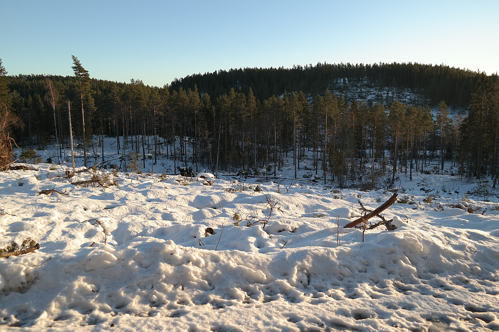 Fra veien som går opp til masta på Sommerfjøstoppen, fikk jeg god sikt mot neste mål, Storsæterhøgda (333), som er til høyre i bildet.