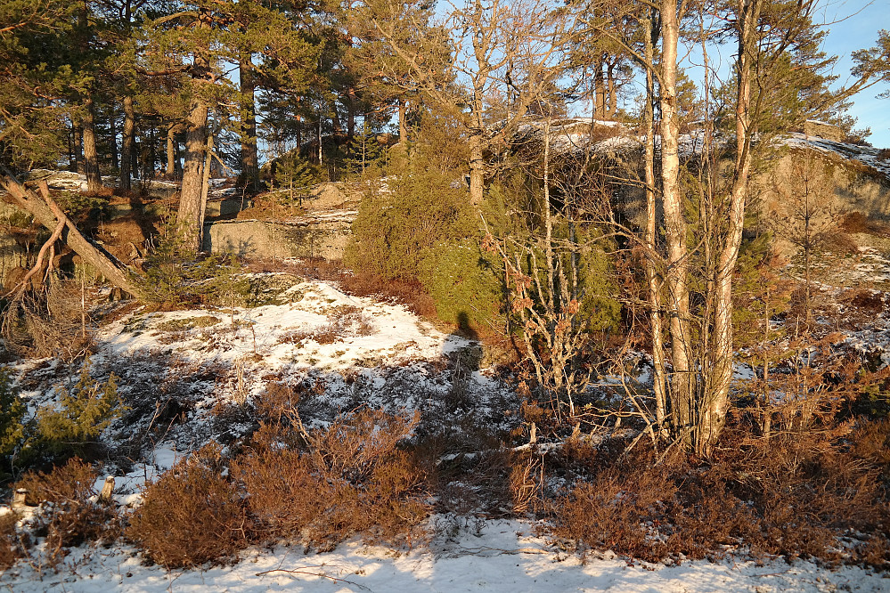 Siste meterne sørfra mot toppen av Sørøst for Mørjeklovås (205).