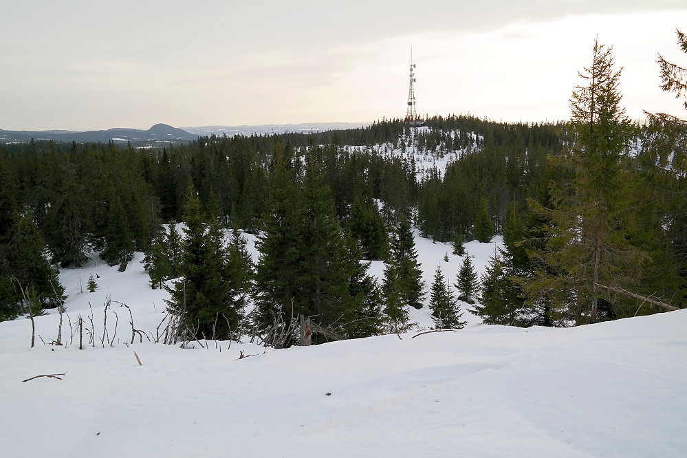 I bakken opp mot Høgkorset (757) ser jeg tilbake mot Høgkorset radiolink (741). Den markerte åsen i bakgrunnen til venstre er Hvalebykampen (771).