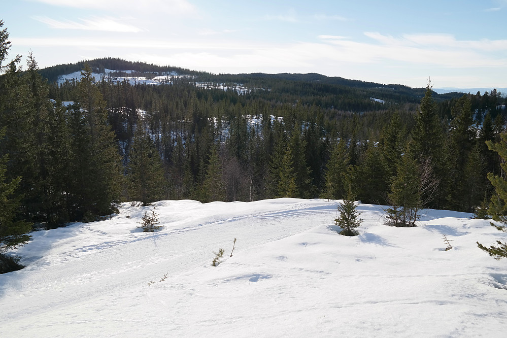 I forgrunnen er løypa jeg fulgte til og fra Ballangrudsæterhøgda (679). I bakgrunnen til venstre ses Helgehaugen (706). Lamannshaugen (705) er mer anonym midt i bildet.