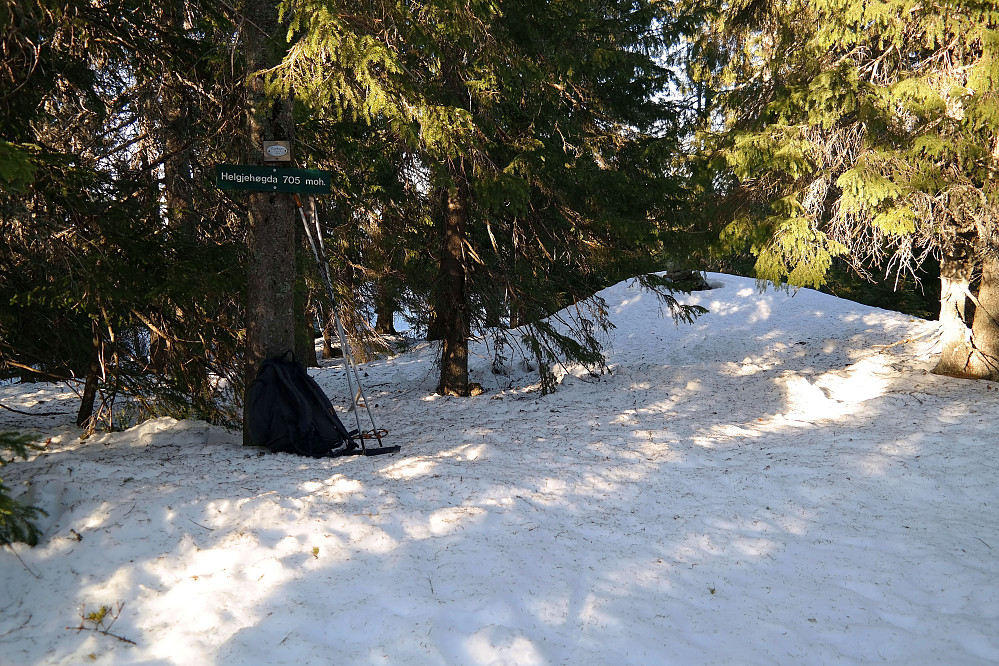 På Helgehaugen (706), eller Helgjehøgda, som skiltet på treet sier. Toppvarden står på kulen til høyre.