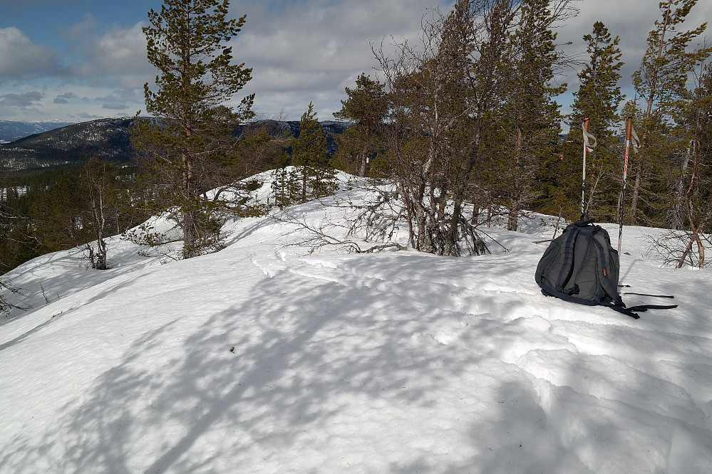 På toppen av Svinhusknatten (696). Den hvite postkassa ses på furua litt lengre bak midt i bildet.