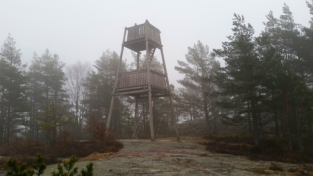 Lite sikt fra toppen av tårnet på Björnerödspiggen (222) i dag.