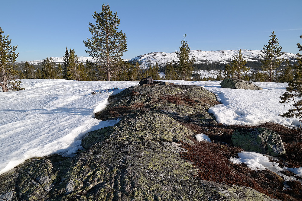 Toppunktet på Kjølfjellet (824). I bakgrunnen til høyre er Urdevassfjellet, mens Høgfjell kan ses langt bak til venstre.