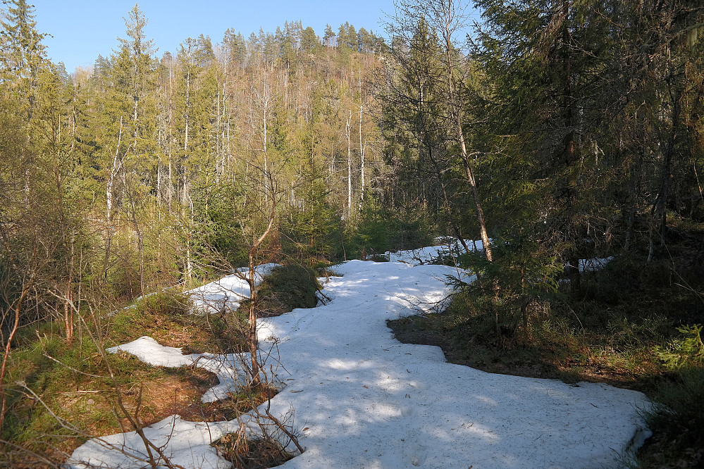 På stien/kjerreveien ned fra Huskollen (191) lå det igjen en del snø på et skyggefullt sted. Dette var andre gang jeg så snø på turen. Huskollen (191) ses forøvrig i bakgrunnen.