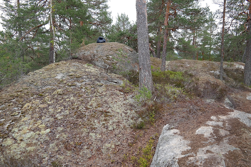 Toppunktet på Søndre Skibrekkåsen (247).