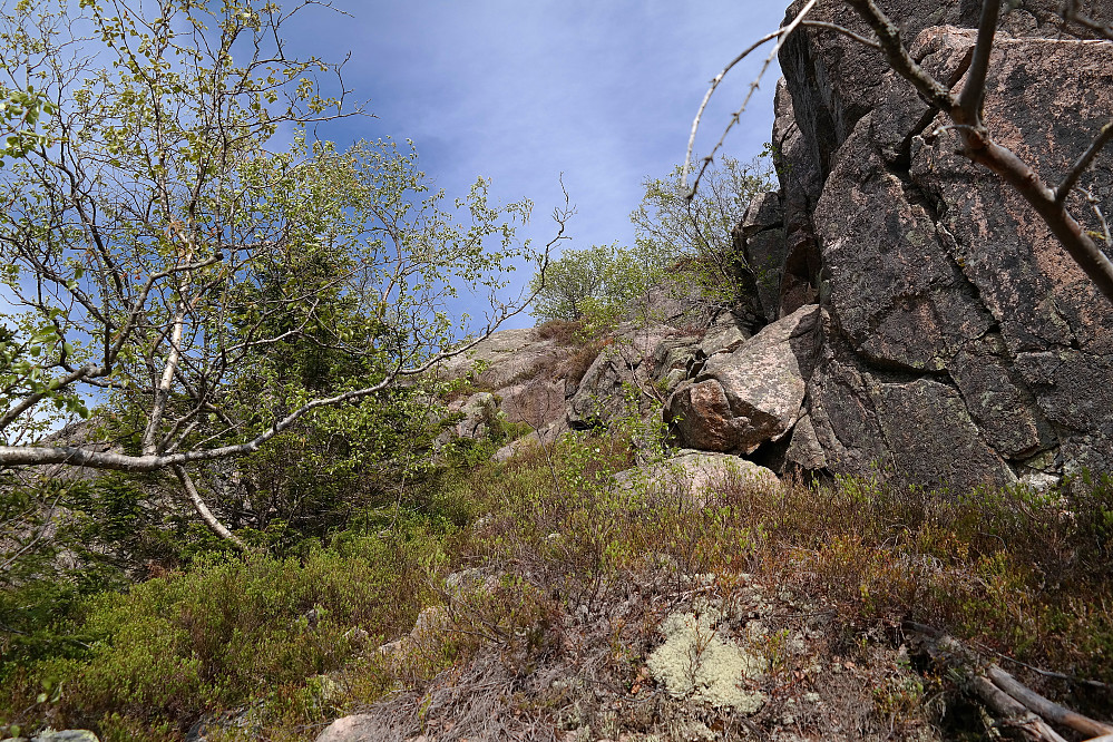 Oppgangen til ryggen som leder bort til toppen på Blåfjell (817).