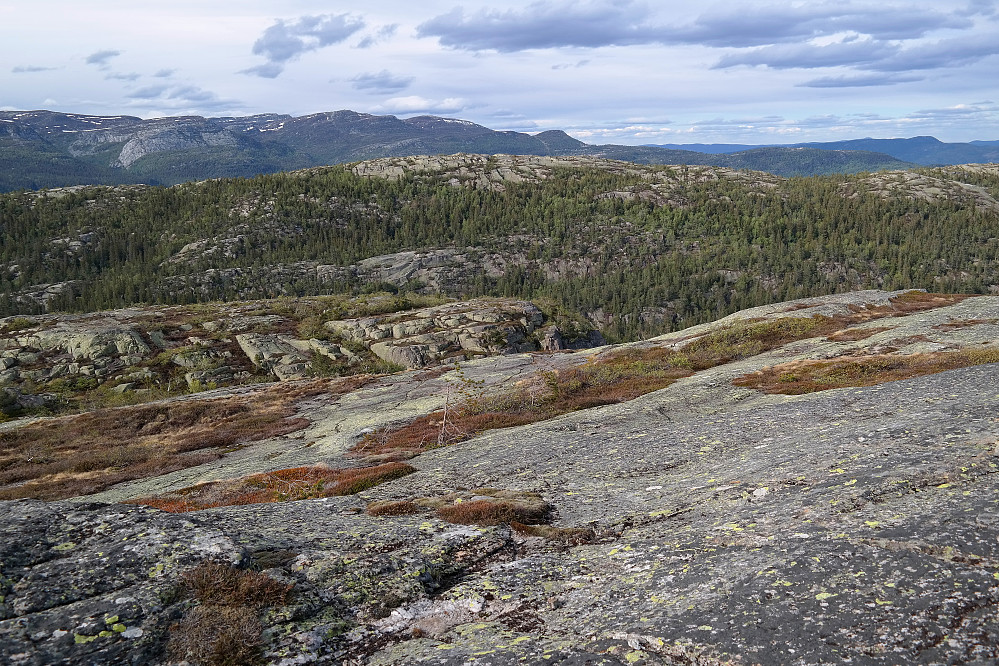 Fra Blåfjell (817) ser vi over mot Skjenan (812), som her ses lengre bak midt i bildet, men foran høyere topper som Gleksefjell (1120) og Skåråfjell (1093). 