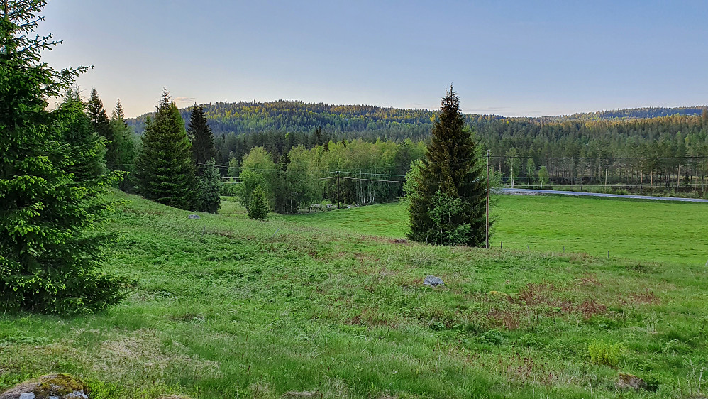Jordet jeg krysset over. Fylkesveien ses til høyre, bortenfor jordet. Bilen sto parkert bak løvskogen midt i bildet. Åsen i bakgrunnen er Blåmyråsen (574).