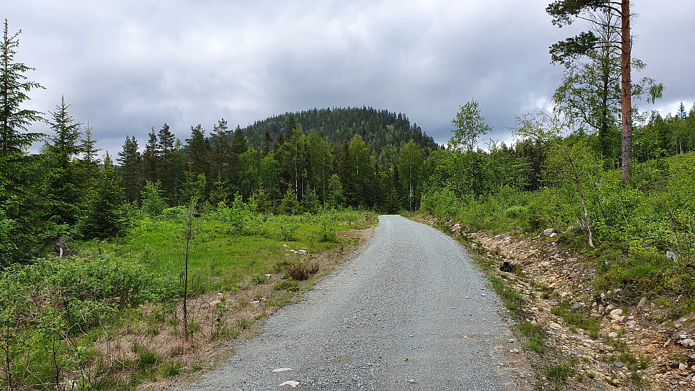 Vandring på grusvei, med Jønnås (588) i bakgrunnen.