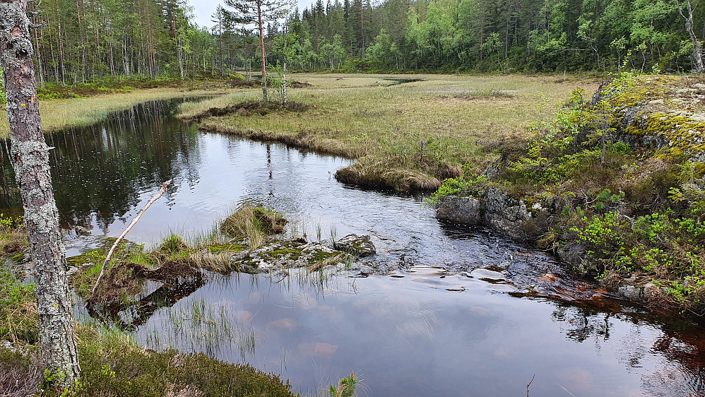 Her klarte jeg å komme over bekken som renner ut i Breiviktjenn nordfra. Før det hadde jeg vandret på høyre side av bekken og myrområdet i bakgrunnen.