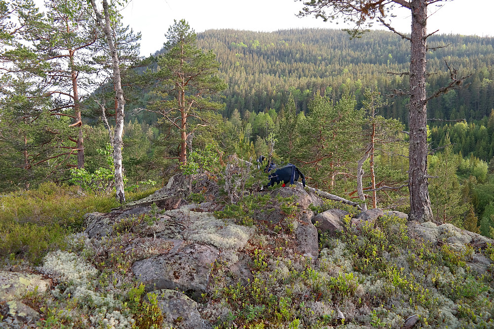 Toppunktet på Tjuvenborgen (378). I bakgrunnen ruver Storås (682), med nordflanken som jeg gikk ned.