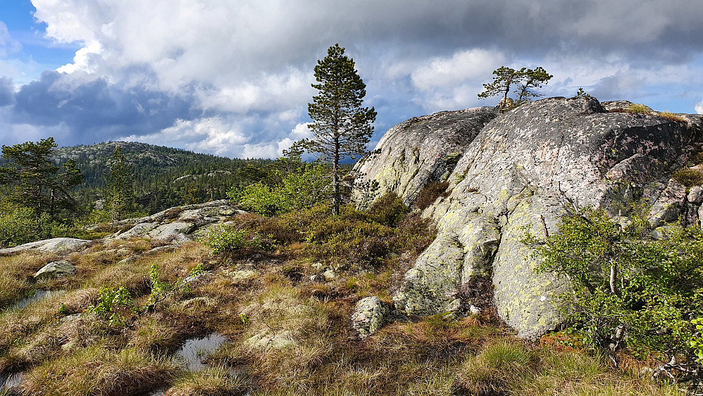 Toppen på Ræplifjell (790) til høyre. Lengre bak og til venstre er Selslinatten (810).