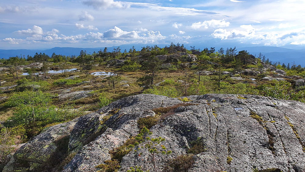 Høyeste punkt på Ræplifjell (790) er høyden som ses litt lengre bak i bildet. Jeg står på et nesten like høyt punkt drøyt 100 meter NØ for toppen.