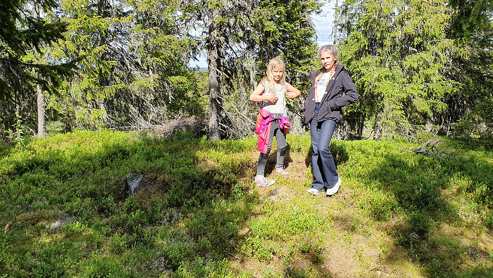 Toppunktet på Kjeldeknatten (889).