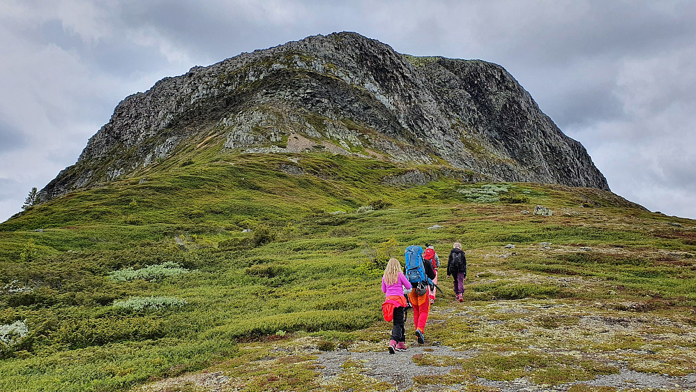 Vi vandrer oppover mot det bratte partiet på ruta opp østryggen. Klyvingen er i det mørket fjellet ovenfor det største feltet med grus som ses omtrent midt i bildet.