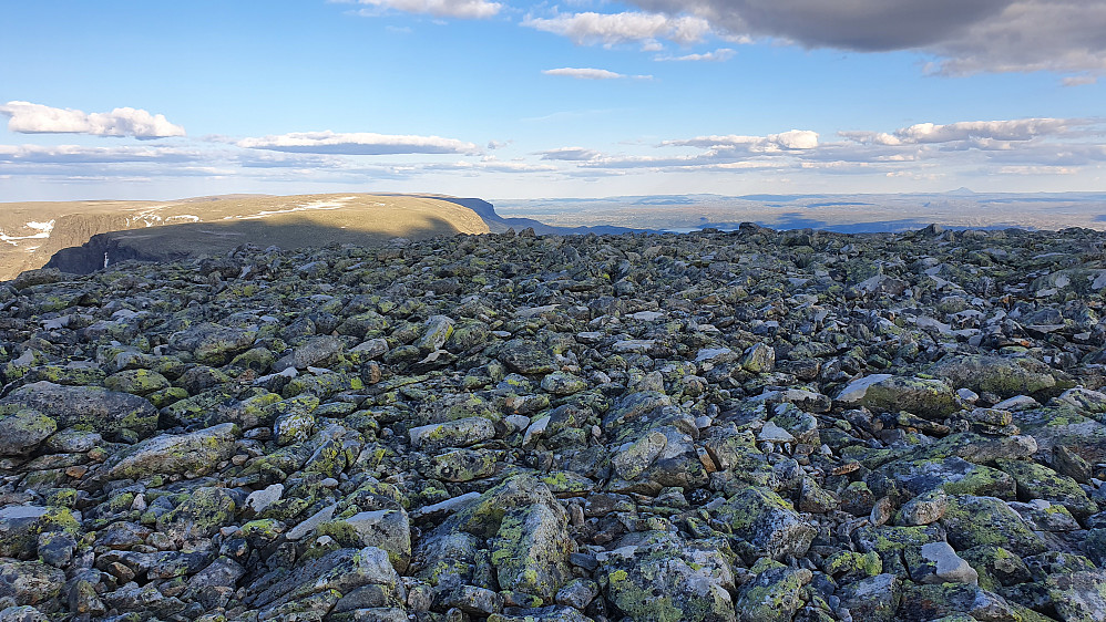 Utsikt retning øst fra toppen av Folarskardnuten (1933). Langt i det fjerne til høyre i bildet, skimtes Gaustatoppen (1883).