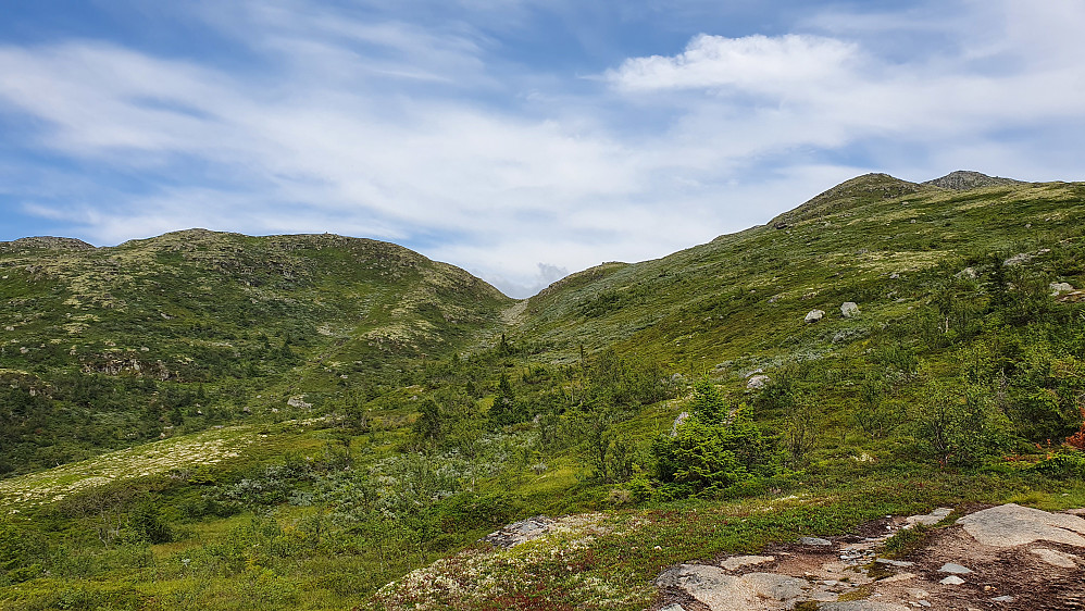 Vi er på skoggrensa. Helt oppe til høyre stikker toppen på Vehuskjerringi (1355) opp. Lengst til venstre i bildet ses Grydalsnuten (1287).