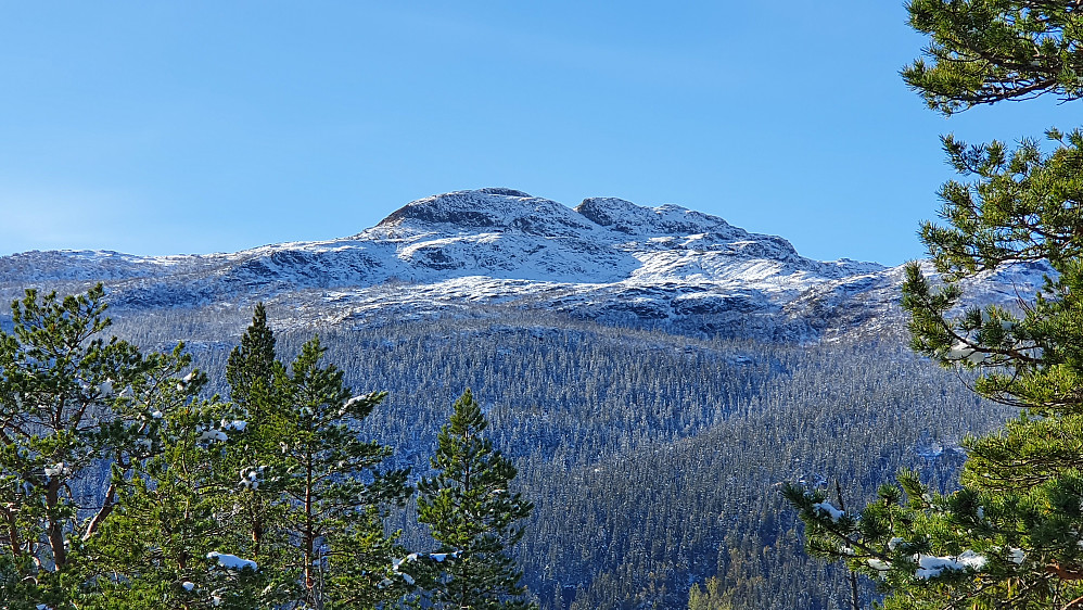 Med litt zoom mot fjellet Byggingen (1171) i vest. Bildet tatt fra Noreåsen (681). 