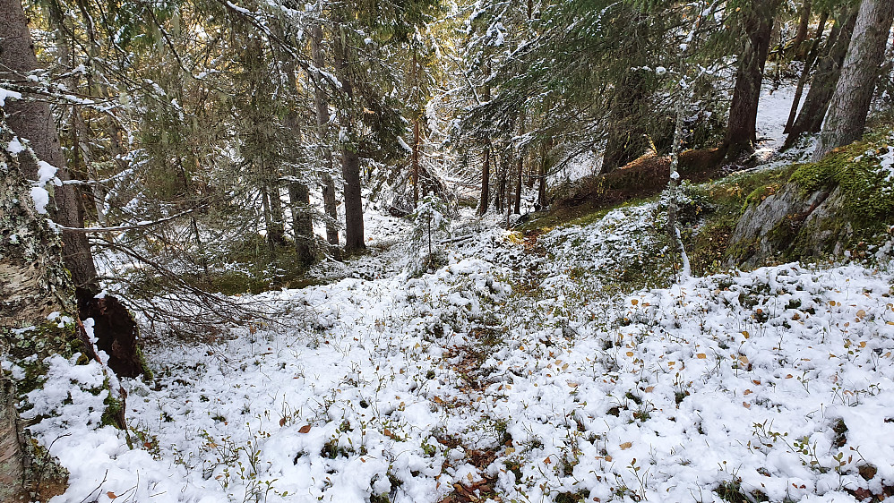 Stien jeg fulgte nedi østsiden på Hanskonatten (734) ses i snøen midt i bildet.