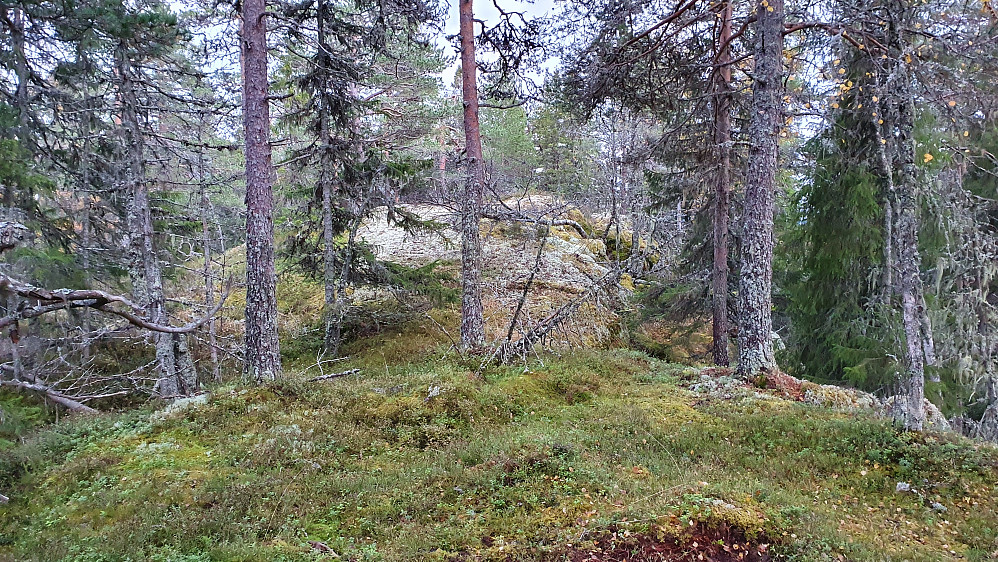 Det jevnhøye toppunktet på Vasstveitåsan (663), drøyt 100 meter sørøst for det som nå er høyeste punkt. Denne høyden er også rundt 663 moh.