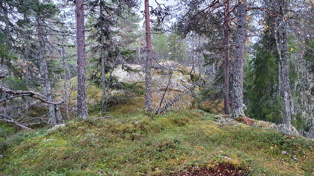 Det jevnhøye toppunktet på Vasstveitåsan (663), drøyt 100 meter sørøst for det som nå er høyeste punkt. Denne høyden er også rundt 663 moh.