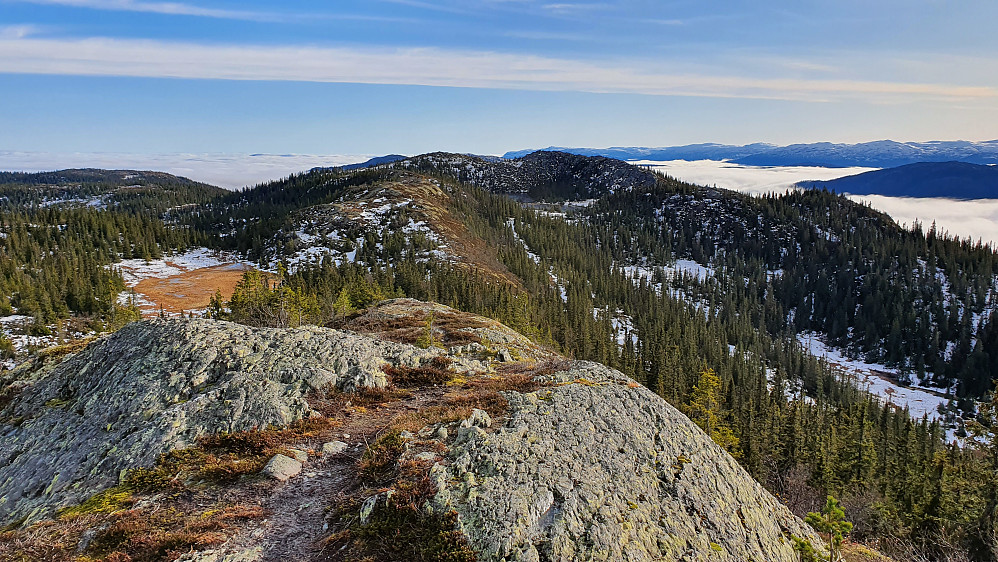 Utsikt sørover fra toppen av Flugunfjellet (983). Den jevnhøye Gvamsnuten (985), som også ble rundens siste topp, ses i bakgrunnen, ørlite til høyre for midten av bildet. 