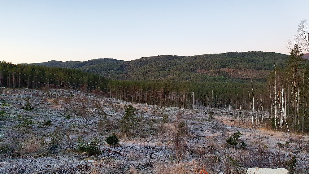 I forgrunnen er det rimbelagte hogstfeltet jeg krysset helt i starten av turen. Bak er åsryggen jeg skulle følge denne dagen. Skitnebufjellet (663) er litt til venstre for midten.