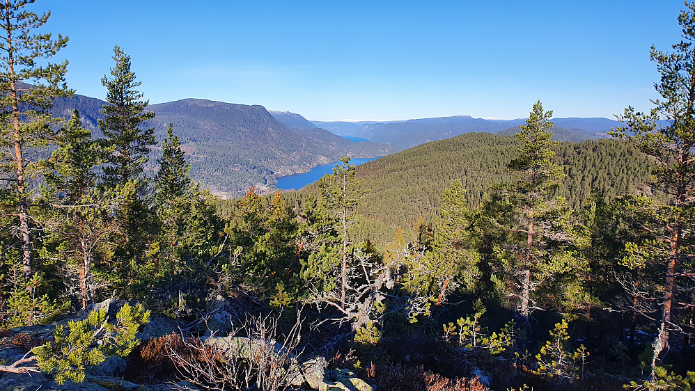 15 meter nord for toppunktet på Skitnebufjellet var det flott utsikt mot N/NV. Vannet midt i bildet er Tinnsjå.