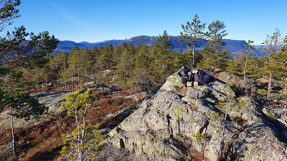 Dagens beste utsikt fikk jeg fra toppen av Vardefjell (658). Langt bak og nesten midt i bildet, stikker Gaustatoppen (1883) opp.