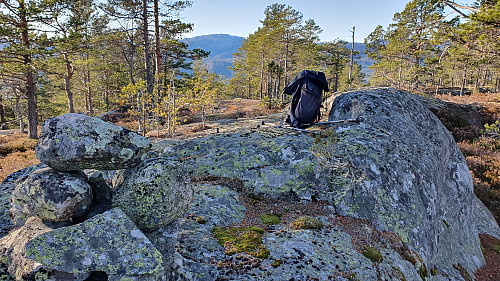 På toppen av Kopslandåsen (603).