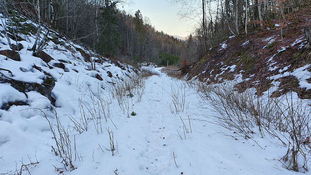 Traktorveien i dalsøkket øst for Storås (284) var eneste stedet med skiføre på hele turen. Men kun der hvor dalen bikket nedover mot nord.
