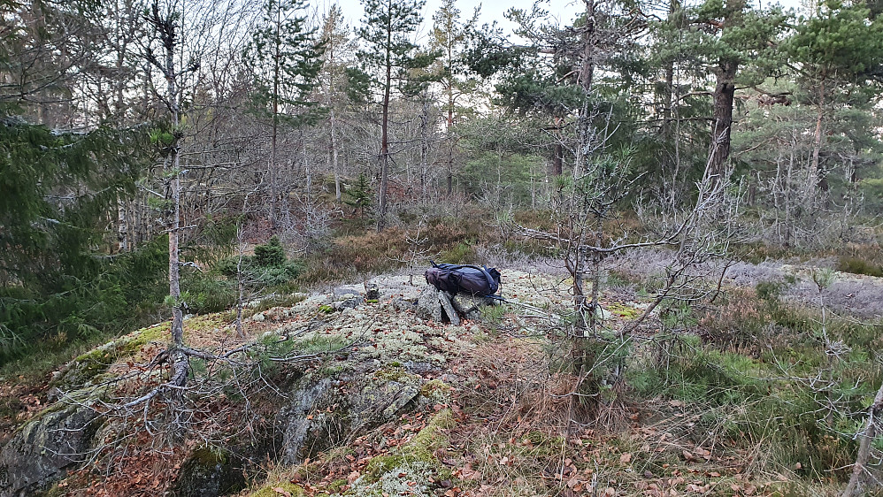 På Langevannsåsen (237). Den andre jevnhøye kulen kan skimtes i skogen bak til venstre.