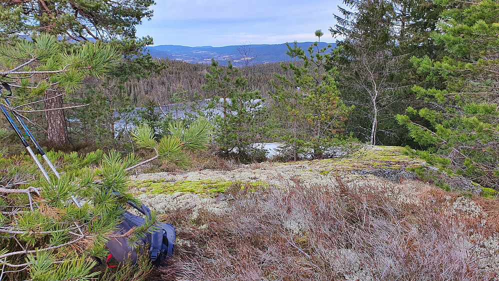 Gløtt av utsikt mot nordøst fra toppen av Romsdalsås (328).