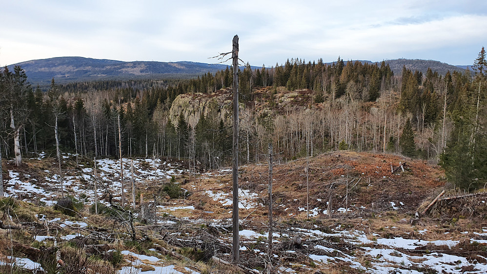 I nordsiden på Movannskollen sørget et hogstfelt for utsyn mot N/NV. Lengst til venstre i bakgrunnen er Vindfjell (621).