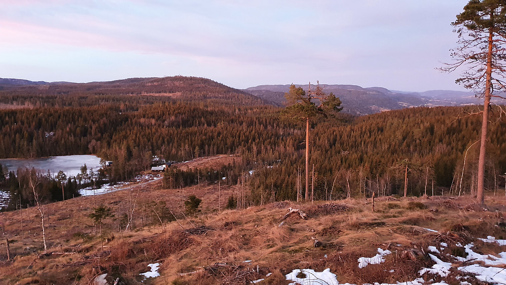 Litt nord for toppen av Kusmeåsen (330) åpnet utsikten seg nordover. Nede til venstre ses grusveien jeg fulgte, og hyttene ved østenden av Østervannet.