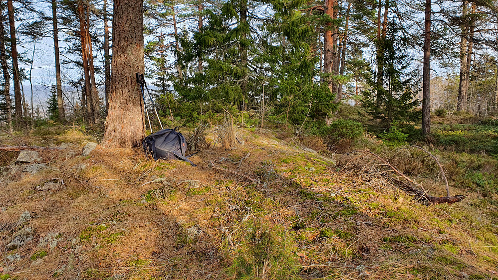 Sol og fine forhold på Namløsnipe (319). Noen plussgrader i lufta og lite som minnet om januar.