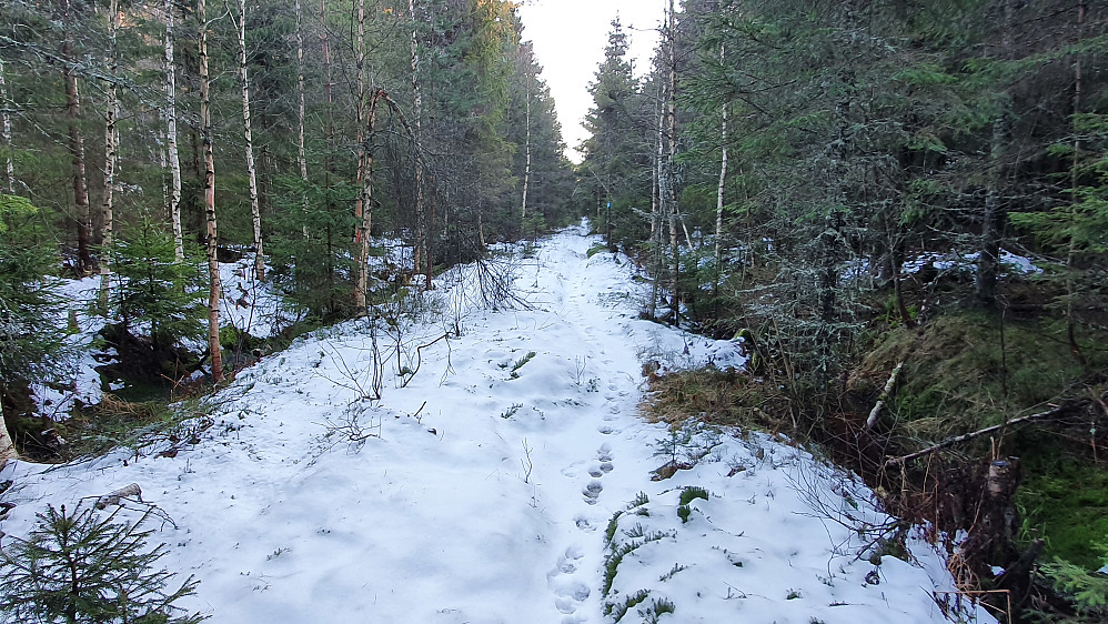 Den snorrette stien jeg fulgte sørover etter den første toppen (og fulgte på tilbaketuren). Dette var det mest snørike stedet på hele turen. For øvrig mest bart.